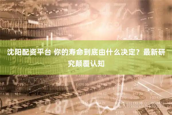沈阳配资平台 你的寿命到底由什么决定？最新研究颠覆认知