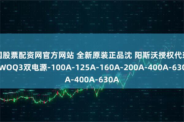 中国股票配资网官方网站 全新原装正品沈 阳斯沃授权代理商SIWOQ3双电源-100A-125A-160A-200A-400A-630A